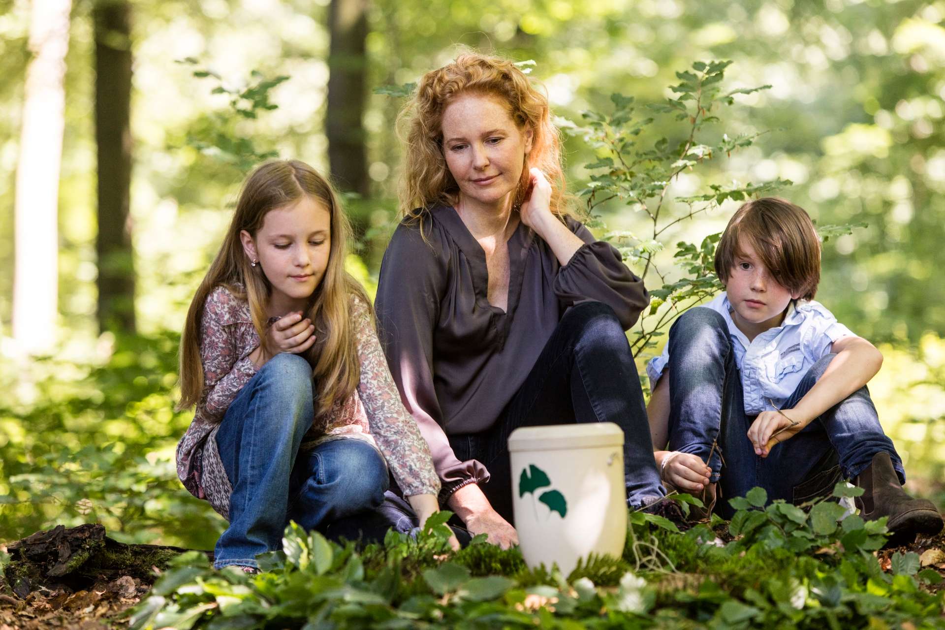 FriedWald Bestattung