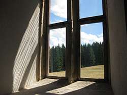 FriedWald Schenkenzell